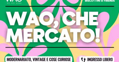 Wao che mercato ! Modernariato, vintage e cose curiose
